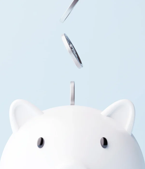 Ahorros OCCIDENT